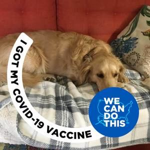 Meet your Posher, Steve